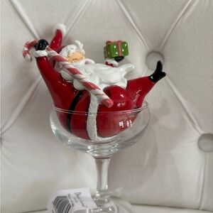 December Diamonds Santa in Martini Glass